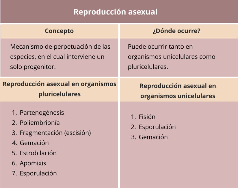 Tipos de reproducción asexual, en organismos unicelulares y pluricelulares